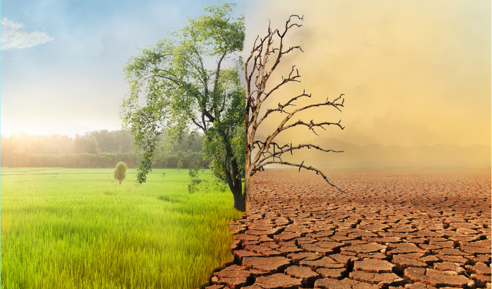 Climate Adaptation